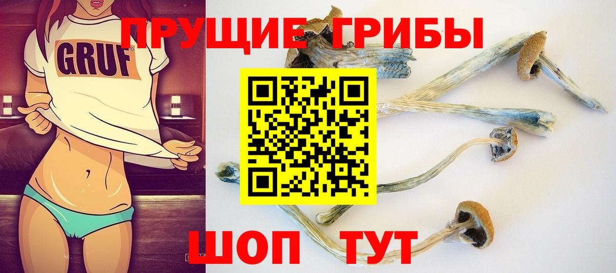 Севастополь  Псилоцибиновые грибы Cubensis  Псилоцибиновые грибы Cubensis  как найти закладки  Вход с VPN 